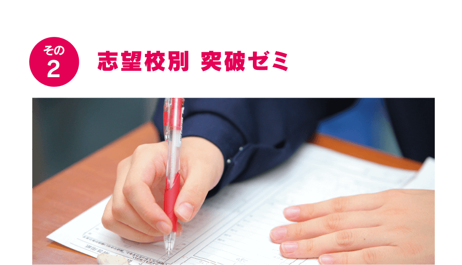 志望校別 突破ゼミ